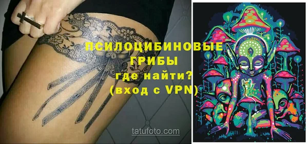 спиды Абинск