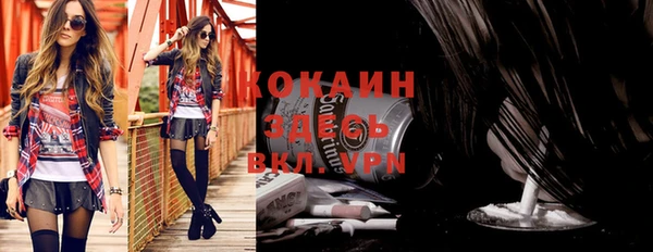 сатива Горнозаводск