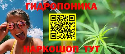 СК Кимры