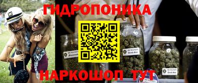 СК Кимры