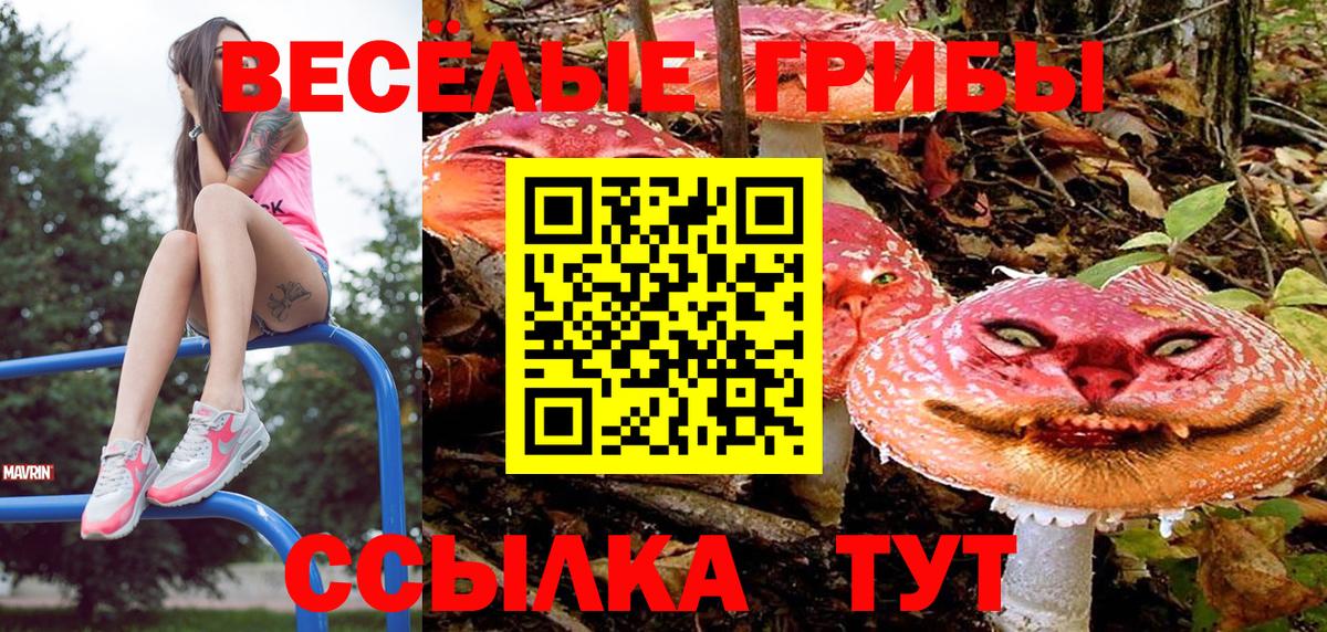 Галлюциногенные грибы Magic Shrooms  Вход с VPN  Кызыл 