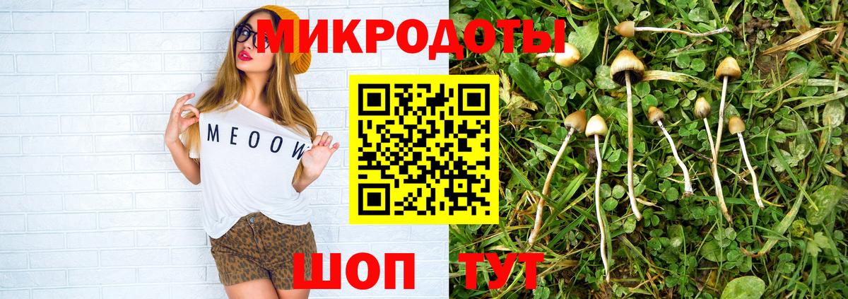 Галлюциногенные грибы Magic Shrooms Кызыл